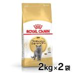 ロイヤルカナン 猫 ブリティッシュショートヘアー 成猫用 2kg×2個セット キャットフード 正規品
