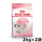 ロイヤルカナン 猫 キトン36 子猫用 2kg×2 猫キャットフード 猫用 フード 猫 ドライフード 成長後期の子猫用 プレミアムフード
