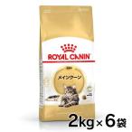 ロイヤルカナン 猫用 メインクーン31 2Kg 6個セット キャットフード 猫用 フード 猫