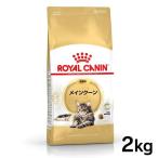 ショッピングロイヤルカナン 猫 ロイヤルカナン 猫用 キャット メインクーン 2kg 成猫用キャットフード 猫用 フード 猫