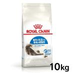 ロイヤルカナン 猫用インドア ロングヘアー 10kg キャットフード 猫用 フード 猫