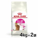 ロイヤルカナン 猫 セイバー エクシジェント 4kg×2個セット 正規品 猫用 キャットフード ドライ カリカリ アダルト 成猫 12ヵ月齢以上 7歳まで 食にこだわり