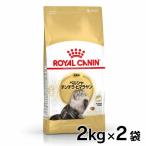 ロイヤルカナン 猫 ペルシャ・チンチラ・ヒマラヤン 2個セット 成猫用 2kg 正規品 キャットフード ドライ アダルト 成猫 12ヵ月齢以上