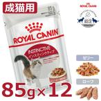 ロイヤルカナン 猫 FHN ウェット インスティンクティブ 85g×同種12個セット フード キャットフード ペットフード