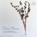  сухой цветок BlackBerry натуральный 5 шт. входит . общая длина примерно 50-60cm натуральный материалы нет окраска оригинал лист предмет ветка предмет большой земля сельское хозяйство . black purple ru аранжировка интерьер 
