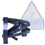 クーポン有) 訳あり 1点限り ハイクラフト ドッグ カー ハーネス サイズXS 超小型犬 HI CRAFT DOG CAR HARNESS AM0