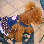 犬のデニムスカート犬服/犬の洋服/ペット服/ドッグウェア