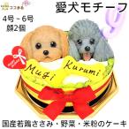 ショッピングバースデーケーキ 犬用ケーキ/愛犬モチーフ/バースデー/2名様/4号〜６号