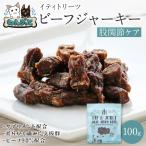 iti イティトリーツ ビーフジャーキー 股関節ケア 100g 犬 おやつ ドッグフード 送料無料