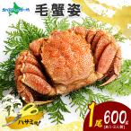 ショッピングカニ 蟹 ギフト カニ 毛ガニ 600g かに 姿 毛蟹 北海道 カニ 蟹味噌 母の日 けがに かにみそ カニ味噌 鍋 gift すがた