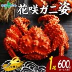 蟹 ギフト カニ 花咲ガニ ボイル 600g前後 かに gift 蟹姿 花咲カニ 花咲蟹 すがた