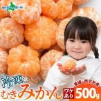 ショッピングフードロス 冷凍みかん 訳あり 500g 皮剥き 果物 御歳暮ギフト フルーツ 業務用 冷凍ミカン 愛媛県産 爆買