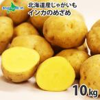  Hokkaido jagaimo in ka. ...S-L размер 10kg передний и задний (до и после) картофель Hokkaido производство in ka. глаз ...... ... прямая поставка от производителя овощи 