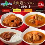 北海道 カレー スープカレー セット 20食(チキンレッグ/南家/天竺/ココナッツ各5食)業務用 カレー レトルト食品