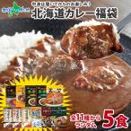 ランダム5食 北海道 カレー福袋 お楽しみ食べ比べ5食セット レトルトカレー ギフト カレー レトルト 食品 詰め合わせ