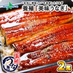 うなぎ ウナギの蒲焼き 2尾 食べ物 ギフト セット 鰻 海鮮 お取り寄せ グルメ プレゼント 引っ越し祝い