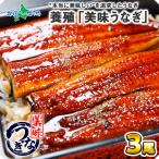 爆買 うなぎ ウナギの蒲焼き 3尾 ギフト セット 鰻 蒲焼き 海鮮 プレゼント gift