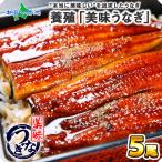 うなぎ ウナギの蒲焼き 5尾 冬ギフト セット 海鮮 鰻 蒲焼き プレゼント 2026