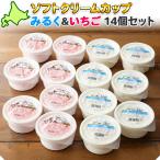 ショッピングお中元 アイス 北海道 ソフトクリーム 14個2種 アイスクリーム御歳暮 ギフト セット お菓子 苺 ミルク くりーむ童話
