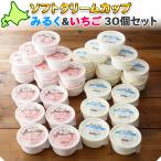 ショッピングお中元 アイス 北海道 ソフトクリーム アイス 30個2種 アイスクリーム ギフト セット お菓子 苺 ミルク くりーむ童話