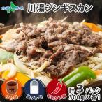 ¥¸¥ó¥®¥¹¥«¥ó 300g3¥Ñ¥Ã¥¯·×900g ¿©¤ÙÈæ¤Ù ¥¿¥ì ±ö ¿É¸ý Ë̳¤Æ» ¥é¥à Æù Ì£ÉÕ¤ ÍÓÆù ¾Æ¤Æù ¤ª¼è¤ê´ó¤»¥°¥ë¥á ¥®¥Õ¥È ¿©ÉÊ