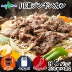 ジンギスカン 300g6パック計1.8kg 食べ