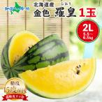 スイカ 金色羅皇 高糖度15度前後 北海道産 2Lサイズ以上 8月下旬-9月下旬 黄色い こんじきらおう すいか 甘い 残暑見舞い ギフト 大玉 1玉 5.5-6.5kg前後