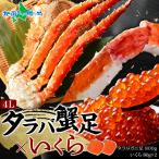 御中元 タラバガニ足800g いくら醤油漬け80gx2 カニ かに タラバ蟹 ボイル イクラ 醤油漬け 海鮮 グルメ