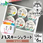 ショッピングお中元 アイス ジェラート ショコラ 6個入 チョコレート アイス ギフト箱 熨斗 お取り寄せ スイーツ ハスキージェラート