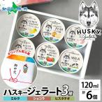 ショッピングお中元 アイス ジェラート 3種 計6個 ミルク チョコ ピスタチオ アイス ギフト箱 熨斗 お取り寄せ スイーツ ハスキージェラート