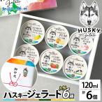 ショッピングお中元 アイス ジェラート 人気6種 ミルク チョコ カッサータ 抹茶 黒糖バナナ レモンヨーグルト アイス ギフト箱 熨斗 お取り寄せ スイーツ ハスキージェラート
