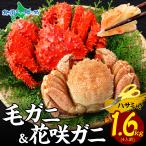 ショッピングかに 毛ガニ・花咲カニ 食べ比べセット 各800g お土産 北海道土産 毛蟹 花咲蟹 姿 かに 御歳暮 カニ ギフト 爆買