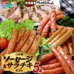 ショッピングフードロス 冬ギフト 自家製ソーセージギフト(荒挽ウインナー/パセリウィンナー/チョリソ/長ネギ/サラダチキン)お肉 食べ物 お正月