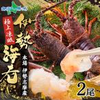  Исэ город море .200-300g 2 хвост Исэ город .. производство ...... рефрижератор лангуст морепродукты подарок подарок по случаю конца года 