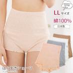 オーガニックコットンショーツLLサ...