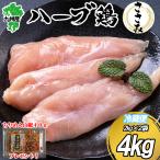 うまかハーブ鶏 ささみ 鶏ささ身 生鶏肉 4kg 約80〜90本入 国産 要冷蔵 業務用 メガ盛り お徳用 特典付き おうちごはん お弁当 ダイエット 低カロリー