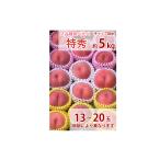 福島の桃 贈答用 2品種食べ比べセット（早生種 中生種 晩生種 極晩生種 極々晩生種の中から1種）特秀品 5kg 13〜20玉入り 送料無料