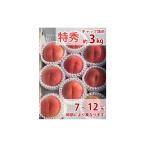 福島の桃 贈答用 晩生種(一宮水蜜・紅錦香・川中島白桃・ゆうぞら・白麗)8月下旬〜9月上旬お届け 特秀品 3kg(8〜10玉入り)送料無料