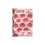 福島の桃 贈答用 晩生種(一宮水蜜・紅錦香・川中島白桃・ゆうぞら・白麗)8月下旬〜9月上旬お届け 特秀品 5kg(13〜16玉入り)送料無料