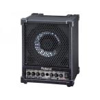Roland CM-30  CUBE MONITOR  ◆ 簡易PAにオススメ コンパクトながら 30Wの出力 呼び込みや30人-40人前後の会議、プレゼンにも!【10月24日時点、在庫あり 】