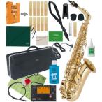 Antigua  AS2800 エルドン アルトサックス 新品 アウトレット ラッカー ゴールド 管楽器 eldon GL Alto saxophone セット F　北海道 沖縄 離島不可