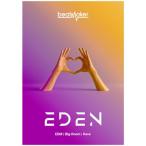 UJAM( You jam ) Beatmaker EDEN beet make-up sound source EDM Dance music plug-in DTM DAW