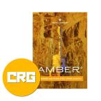 UJAM( You джем ) Virtual Guitarist AMBER 2 Cross комплектация гитара источник звука плагин DTM DAW