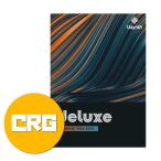 UJAM( You джем ) USynth DELUXE Cross комплектация Synth источник звука плагин DTM DAW