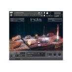 Native Instruments(neitib instrument uru men tsu) India источник звука плагин DTM DAW