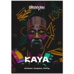 UJAM( You джем ) Beatmaker KAYA Afro свекла барабан комплект [ время ограничено специальная цена 11/3 до ]