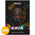 UJAM( You джем ) Beatmaker KAYAroiyaliti( Cross комплектация версия ) Afro свекла барабан комплект [ время ограничено специальная цена 11/3 до ]
