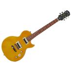 Epiphone(エピフォン) Slash AFD Les Paul Special-II スラッシュ レスポール スペシャル  アウトレット