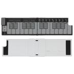 KORG( Korg ) [ outlet ] NANOKEY-FD WH WHITE белый MIDI клавиатура [ ограниченное количество специальная цена outlet ]