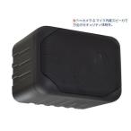 MASSIVE(マッシブ) AV-635/CCD (1本) ◆ フルレンジスピーカー ピンホールCCD内蔵 防犯【1月16日時点、在庫あり 】